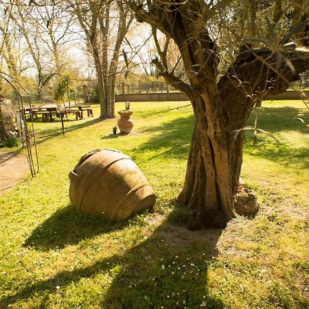 Picchio Verde San Giuseppe  Dış mekan fotoğraf