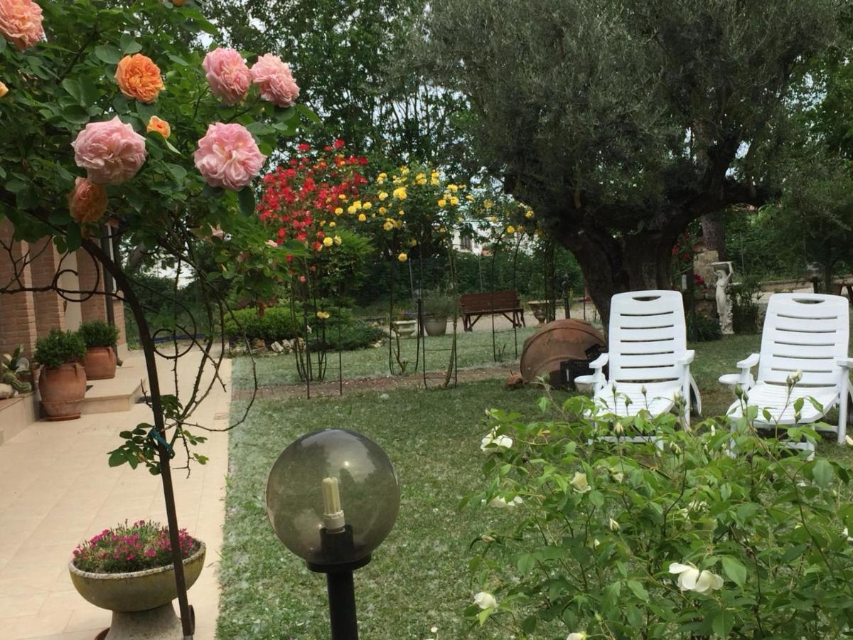 Picchio Verde San Giuseppe  Dış mekan fotoğraf