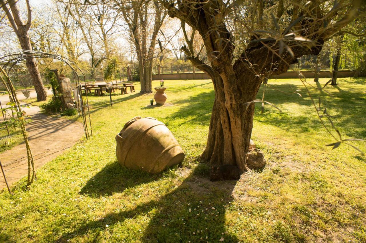Picchio Verde San Giuseppe  Dış mekan fotoğraf